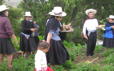 Rutas de Legumbres de La Biodiversidad de Lamud Amazonas